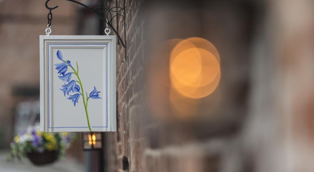 Blue Bell Cottage Оллертон Номер фото